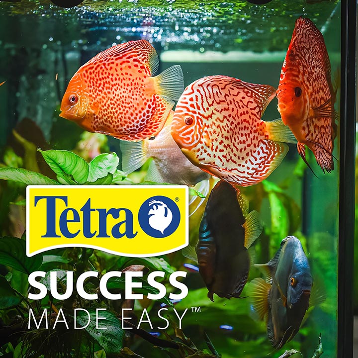 Tetra bubbling led kit cheap
